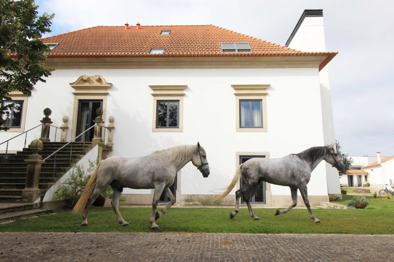 Quinta Da Aldeia De Avanca Eksteriør billede